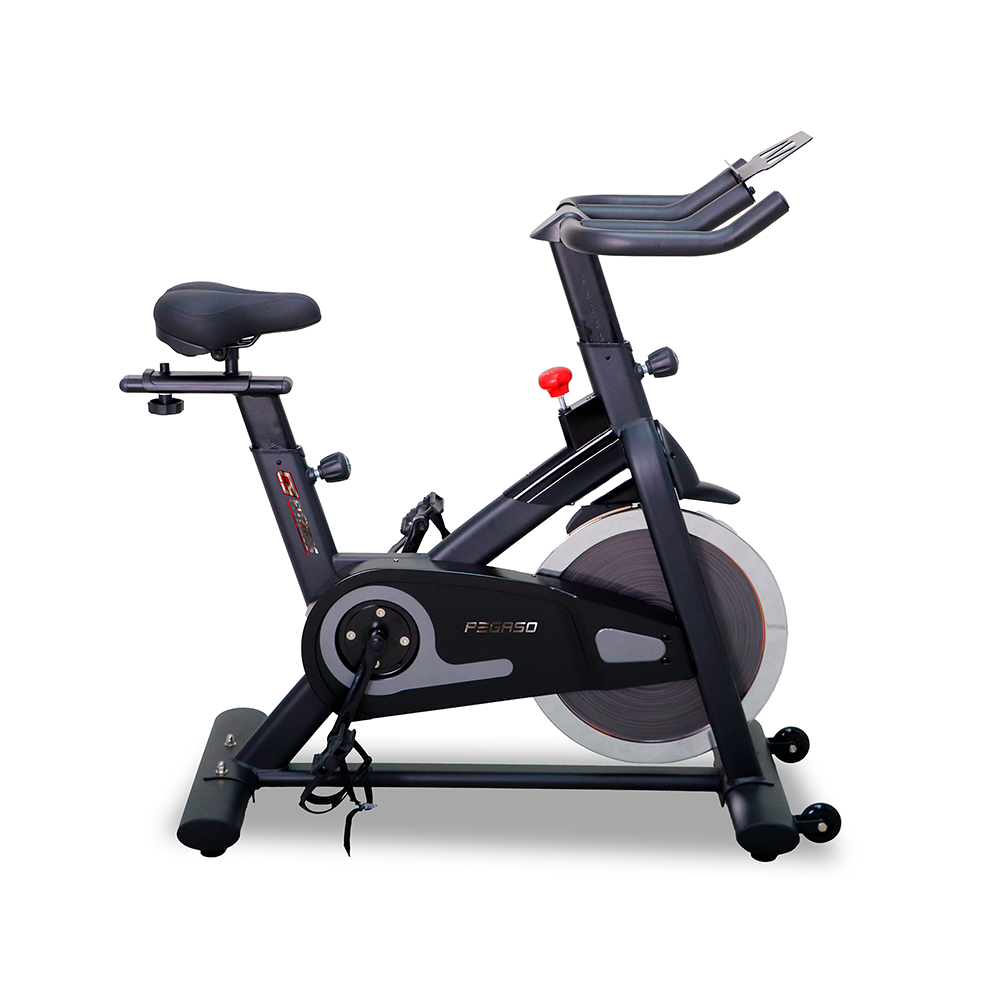 SPINNING CSFITNESS PEGASO