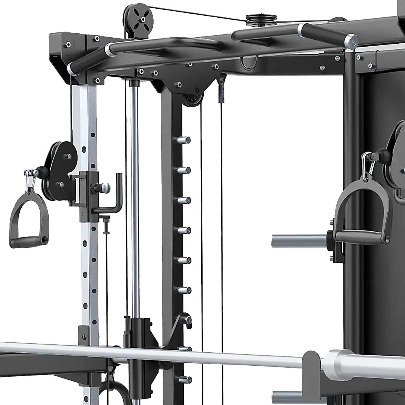 Multigimnasio Super Jaula Raptor