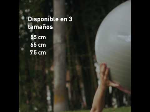 Bolas de Gimnasia de 55cm GB-1065 Varios Colores – 70135
